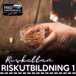 Riskutbildning 1, Riskettan