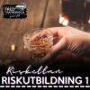 Risk1, Riskettan